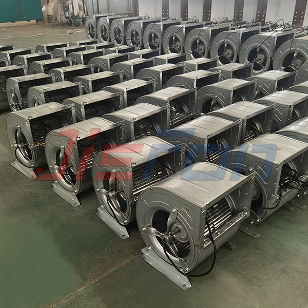 1684975983879765.jpg 565.jpg